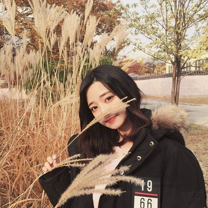 则座诚 - 山口珠理影片高清在线播放19 - APP影视